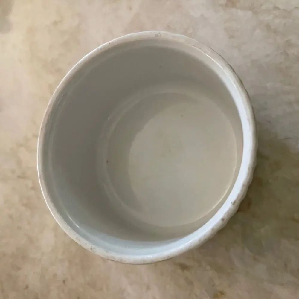BIA Cordon Bleu France ramekin and gratin dish set